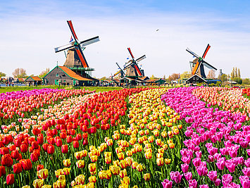 Holanda no sólo es conocida por sus tulipanes y molinos de viento, también es una zona de navegación muy atractiva 